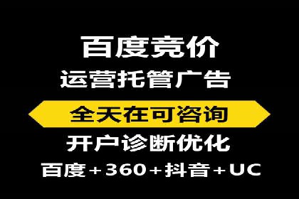行业领先的SEM策略：成功案例与经验分享