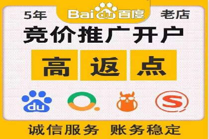 搜索引擎营销（SEM）公司某某的客户成功故事